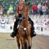 Gaited Horses at the GCHS